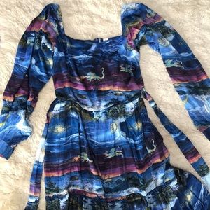 Gorgeous silk/modal Samantha Pleet dragon dress!